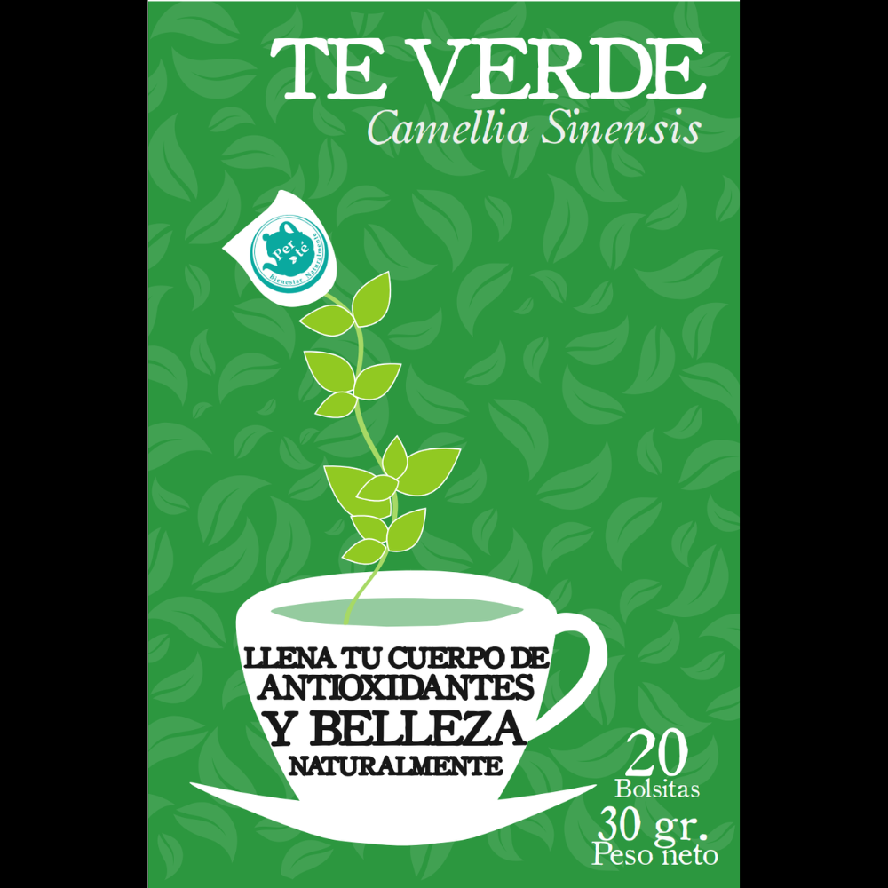 TÉ VERDE - Camellia Sinensis - Imagen 2